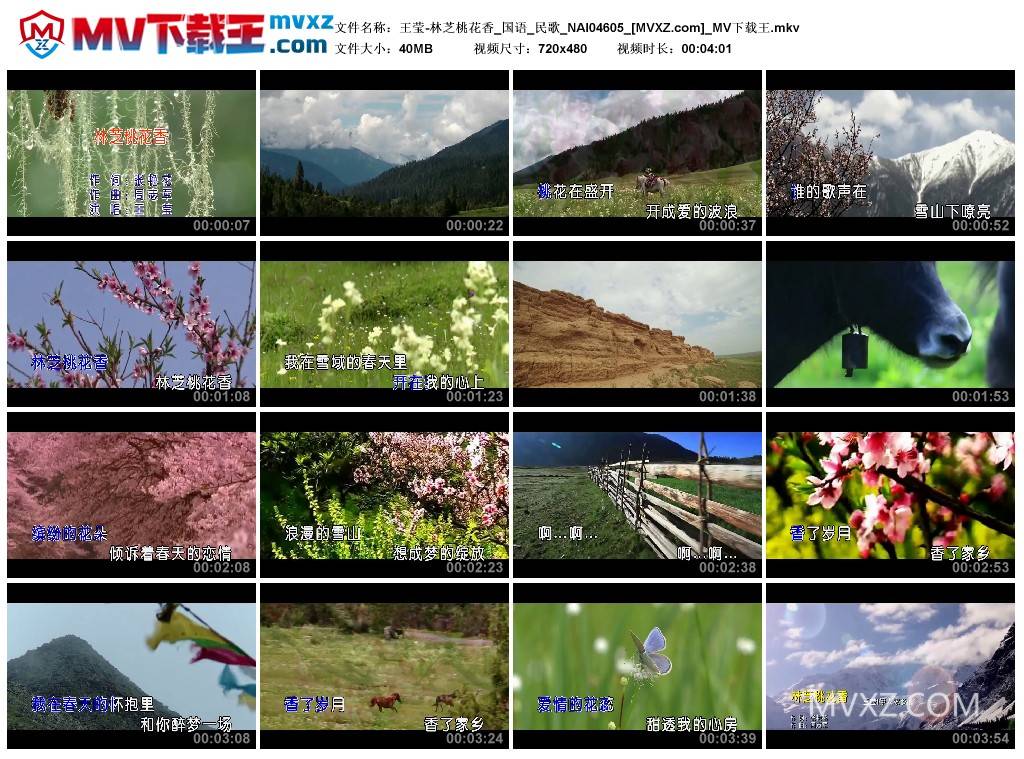 王莹-林芝桃花香_国语_民歌_NAI04605